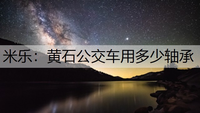 黄石公交车用多少轴承